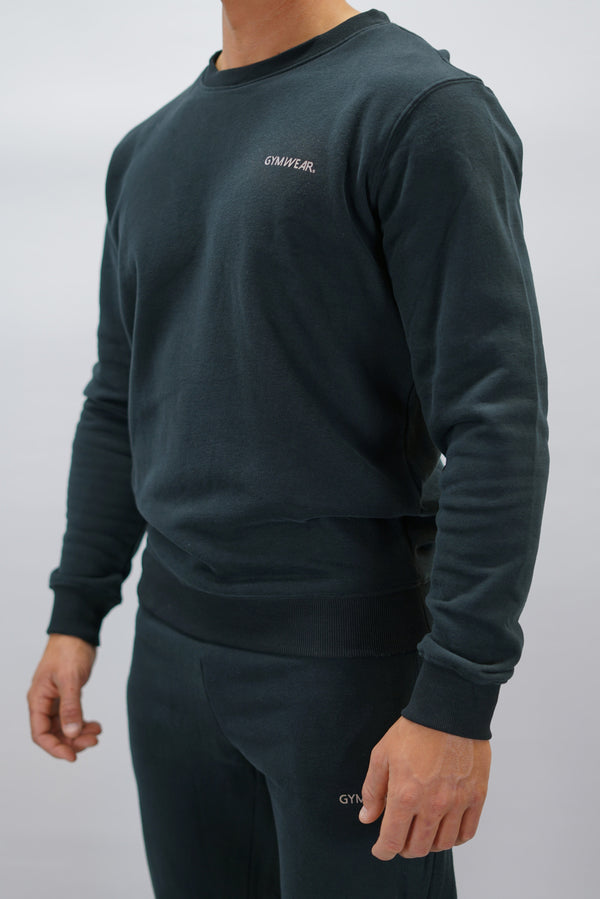 Cleo Sweatshirt herr i mjuk borstad bomull, svart färg, med stilren logga på vänster bröst. Komfortabel och snygg sweatshirt för vardagsbruk.
